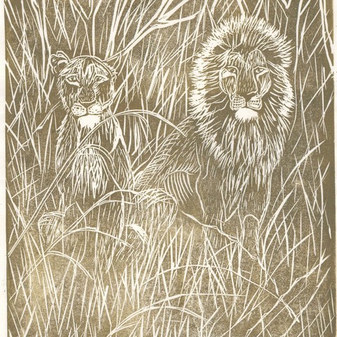  linocut print in gold ink on white paper. The white line lino print shows a lioness (right) and lion (left) seated, looking at the viewer in tall grass.