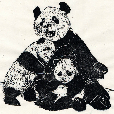 My linocut seated mother giant panda with two cubs in black on white paper