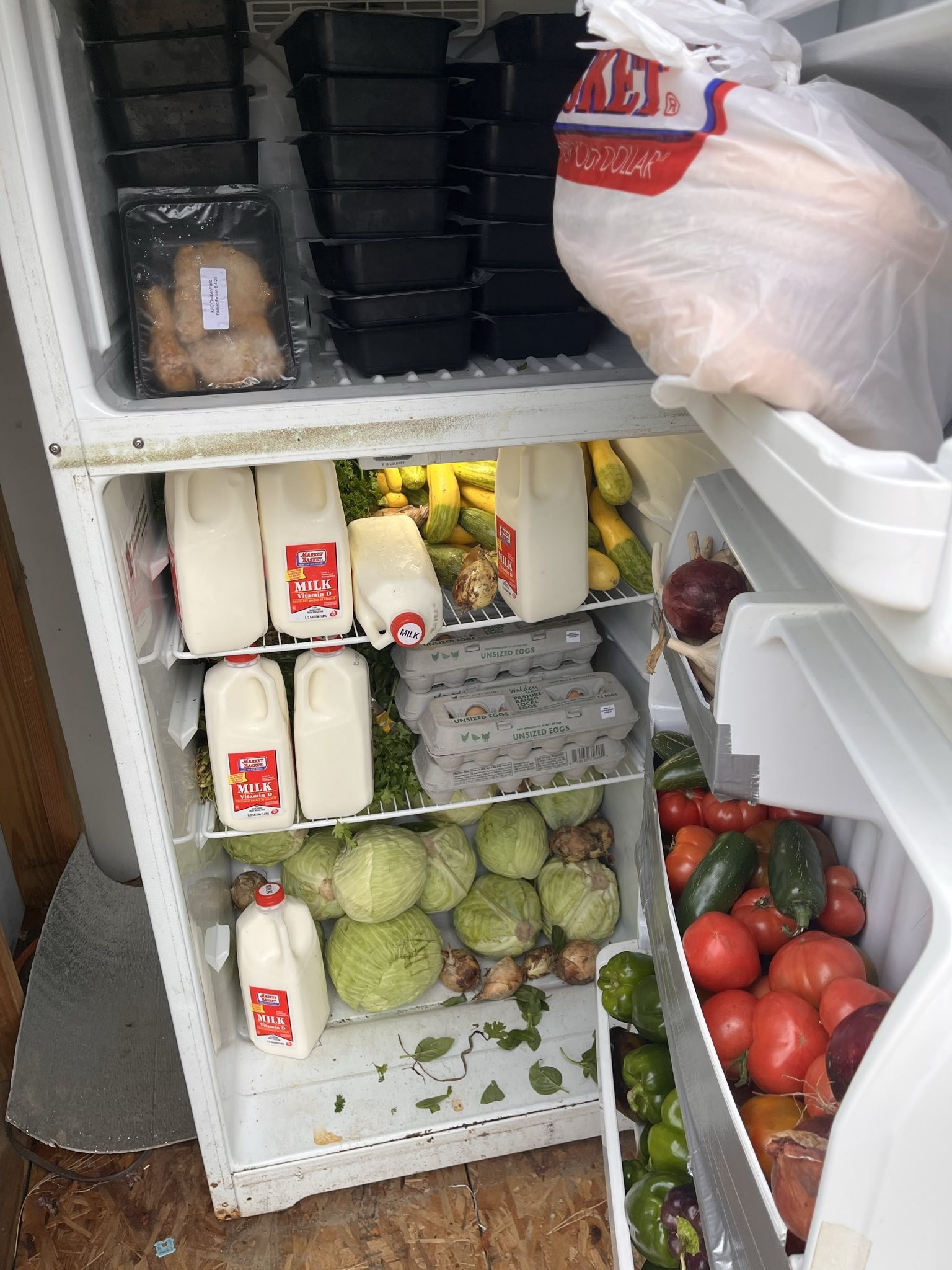 Community fridge filled with milk, eggs, chicken, bread, as well as cabbage, squash, bell peppers, jalapeño peppers, onions, garlic, basil, parsley, and cilantro